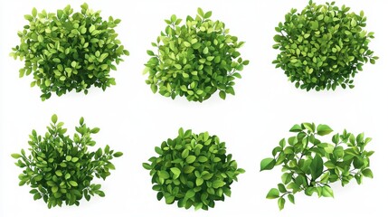 Fototapete - 30.A vector set of green bush illustrations, isolated on a white background, with each bush featuring a dense and rounded shape with neatly layered leaves. The leaves vary slightly in size and shade,