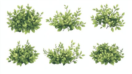 Fototapete - 30.A vector set of green bush illustrations, isolated on a white background, with each bush featuring a dense and rounded shape with neatly layered leaves. The leaves vary slightly in size and shade,