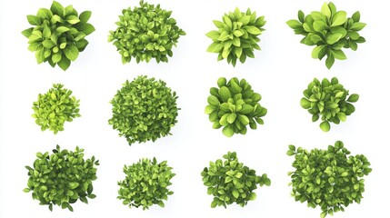 Fototapete - 30.A vector set of green bush illustrations, isolated on a white background, with each bush featuring a dense and rounded shape with neatly layered leaves. The leaves vary slightly in size and shade,