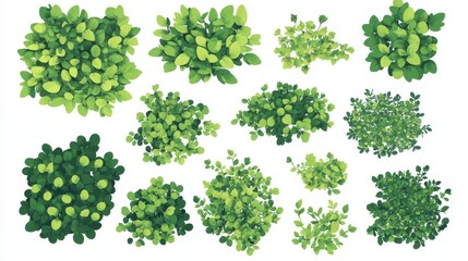 Fototapete - 30.A vector set of green bush illustrations, isolated on a white background, with each bush featuring a dense and rounded shape with neatly layered leaves. The leaves vary slightly in size and shade,