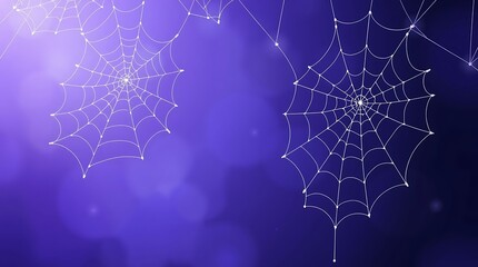 spider web with dew drops