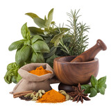 Ayurveda Fresh herbs, spices, Turmeric powder, and longa with wooden grinding tools white background. 