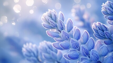 Poster - Frost Covered Blue Flowers Winter Scene