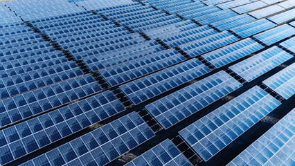Wall Mural - large field of solar panels is shown in the image