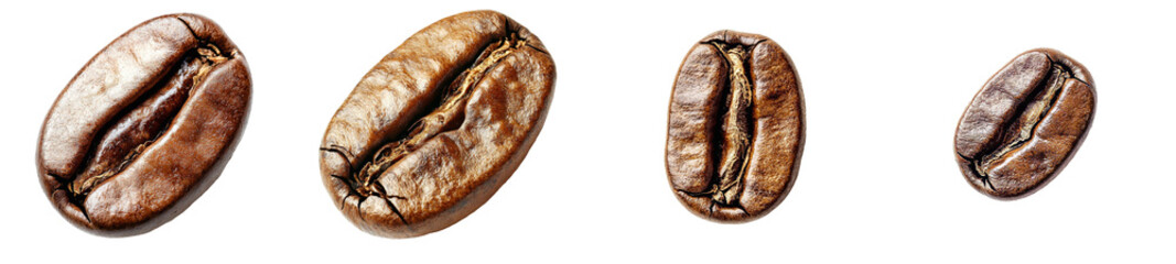 Poster - Top view of a coffee bean with a transparent background.