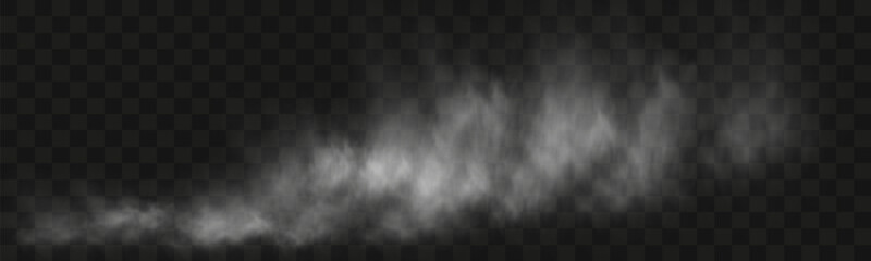 Poster - Realistic smoke, vape, fog, smog. Illustration of smoke on a transparent background.
