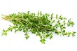 © Dmitrii - Fresh thyme sprigs ready for culinary use in cooking or flavoring dishes