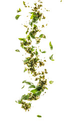 Poster - Falling basil, isolated on transparent background