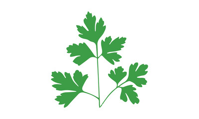 Coriander Plant Illustration on White Background