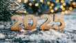© Marta  Maksymiv - Happy New Year 2025. change background new year resolution concept. wood text on ground. Perfect for your invitation or office card