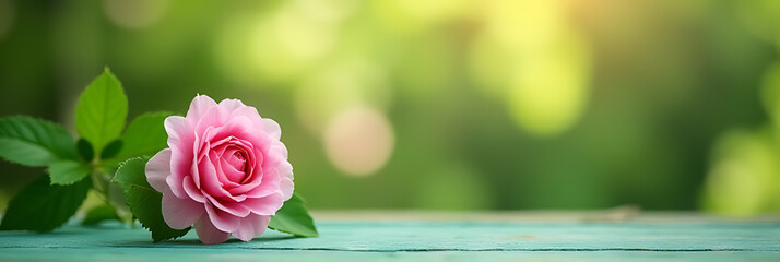 Poster - A blurred flower from the garden is set against a green wood table top for product display and design layouts._00002_