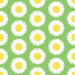 Wall Mural - White and yellow stylized chamomile flowers on green background. Vector seamless pattern. Best for textile, wallpapers, wrapping paper, package and your design.