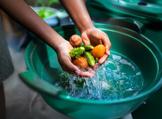 Wall Mural - Hands gently washing fresh vegetables tomatoes, cucumbers, and carrots in a green basin.  Water splashes as the produce is cleaned.  A focus on healthy eating and simple preparation.