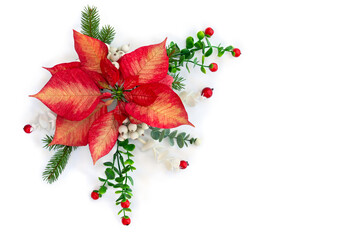 Wall Mural - christmas decoration. flower of red orange poinsettia, branch christmas tree, berries mistletoe, red