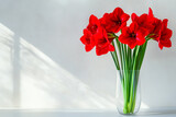 Beautiful bouquet of red amaryllis flowers in a glass vase