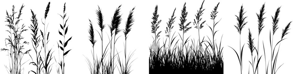 Poster - Seamless pattern of grass silhouettes. A lush, horizontal nature landscape background with black contours on a white background. Symbolizes fields, lawns, parks, and meadows, representing freshness