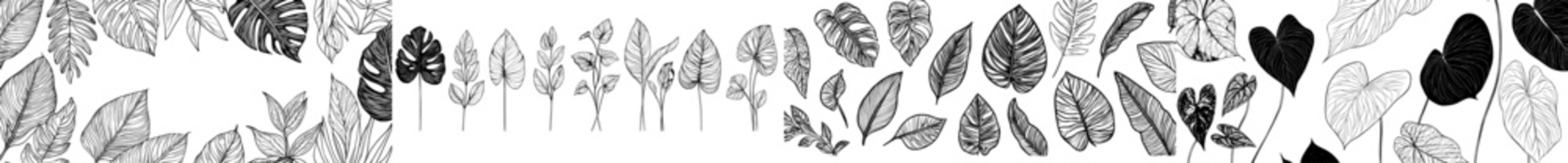 Poster - A modern collection of tropical leaves, featuring monochrome silhouettes of jungle exotics like Philodendron, Palm, Areca palm, Royal fern, and Banana leaf, all isolated on a white background. Modern