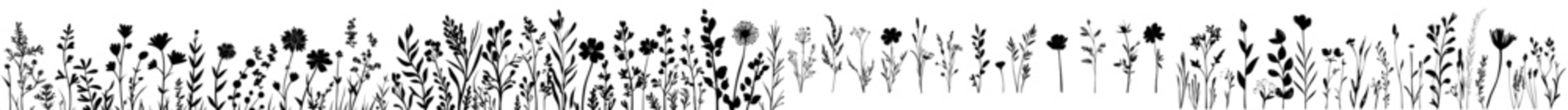 Fototapete - A collection of black silhouettes featuring wild leaves and flowers. This trendy hand-drawn monochrome botanical illustration set is isolated and perfect for modern designs, including logos, tattoos,