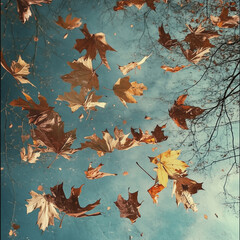 Wall Mural - Falling leaves 