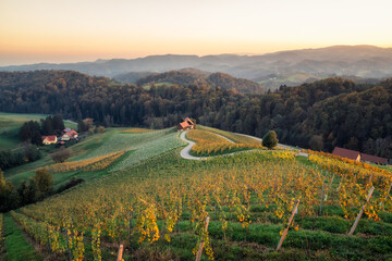 Wall Mural - Amazing sunset landscape of the picturesque, autumn-covered hills and the famous heart-shaped road near Maribor, close to the Austrian border in Slovenia