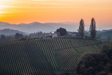 Wall Mural - aerial sunset landscape of the picturesque, autumn-covered hills near maribor, close to the austrian