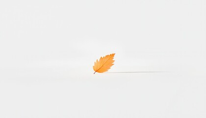 Poster - Minimalist Composition of a Single Leaf on a Vast White Background with Subtle Shadows and Clean Lines