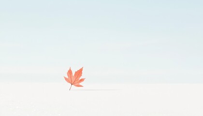 Poster - Minimalist Composition Featuring a Single Leaf on a Vast Empty Space with Soft Blue Background