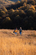© Zoran Zeremski - Two smiling woman hiking at top of the hill at meadow.