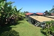 © ChrisOvergaard - A traditional Kona Coffee farm on the Big Island of Hawaii