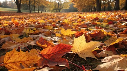 Aufkleber - Golden autumn leaves blanket the ground in a park, creating a tapestry of vibrant hues and intricate patterns.