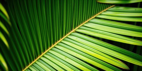 close-up of a vibrant palm leaf, showcasing its intricate texture and vivid green hues, green, natur
