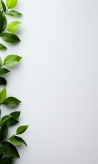 Wall Mural - Fresh Green Leaves on Light Background Creating a Natural and Calm Minimalist Design Element