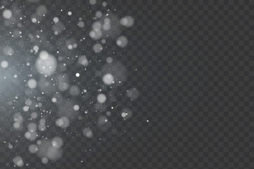 Poster - Holiday bokeh and glitter effect with bright dust particles and glare isolated on transparent background. Vector star cloud with glare and glitter.