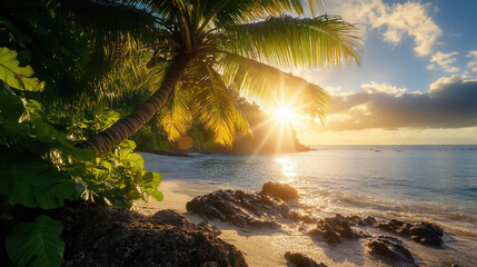 Wall Mural - A serene beach scene at sunset with palm trees and rocky shoreline.