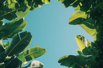 Wall Mural - A serene view of bright green leaves framing a clear blue sky.