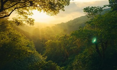Wall Mural - serene forest landscape at sunrise with lush greenery.