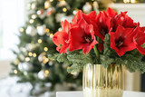 Beautiful Christmas arrangement with amaryllis flowers in a gold vase with a Christmas tree in the background