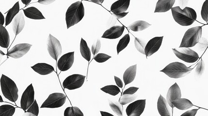 Poster - Monochrome foliage texture featuring black and white leaves arranged artistically on a clean background for stylish design elements.