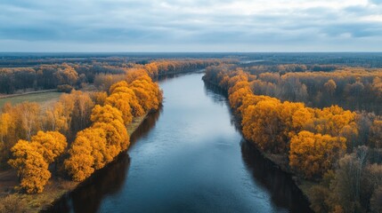 Poster - Autumn river landscape with vibrant golden trees reflecting on tranquil water under a cloudy sky showcasing nature's seasonal beauty