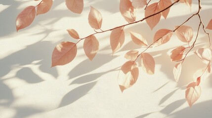 Aufkleber - Pastel pink and beige leaves casting shadows on a white wall creating a serene background texture for wallpaper and design applications