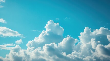 Poster - Cabbage fields under a vibrant blue sky with fluffy white clouds for agricultural and nature-related themes.