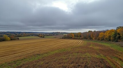 Poster - Panoramic autumn landscape featuring harvested agricultural fields beneath a grey cloudy sky showcasing nature's seasonal beauty.