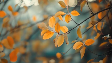 Poster - Vibrant autumn foliage capturing the essence of seasonal change and natural beauty in bright yellow and orange leaves.