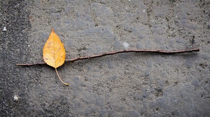 Aufkleber - Autumn leaf and twig resting on a textured ground creating a natural background with warm seasonal tones and organic elements.