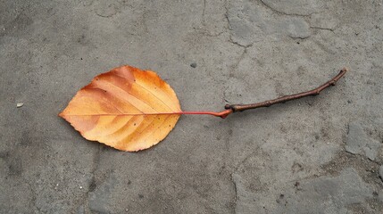 Aufkleber - Autumn leaf and twig laying on textured ground creating a natural background for seasonal designs and nature-themed projects