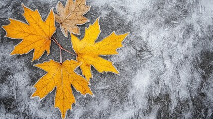 Aufkleber - Frozen autumn leaves in icy puddle showcasing vibrant yellow and brown hues reflecting early winter's chill and nature's transition.