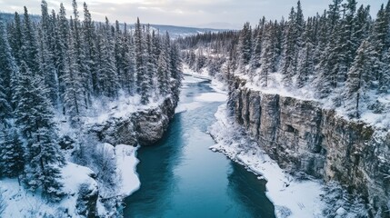 Poster - Aerial view of a serene snowy forest with a flowing river and cliffs in an untouched winter wilderness landscape