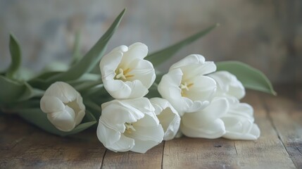 Poster - Elegant white tulips arranged artfully on a rustic wooden surface showcasing natural beauty and freshness in a serene setting