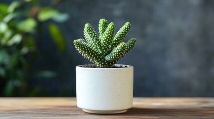 Poster - Cactus plant in a minimalist white pot on wooden table with blurred greenery background. Perfect for home decor or nature themes.