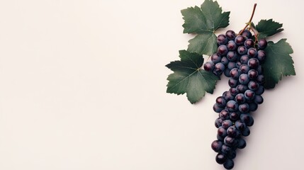 Aufkleber - Fresh red grapes with green leaves displaying vibrant colors isolated on a light background perfect for food and beverage advertising
